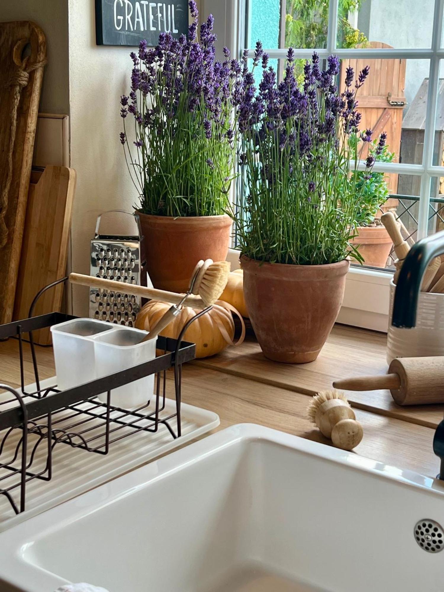 Orchardhouse Farmhouse, Wellness Chrast  Ngoại thất bức ảnh