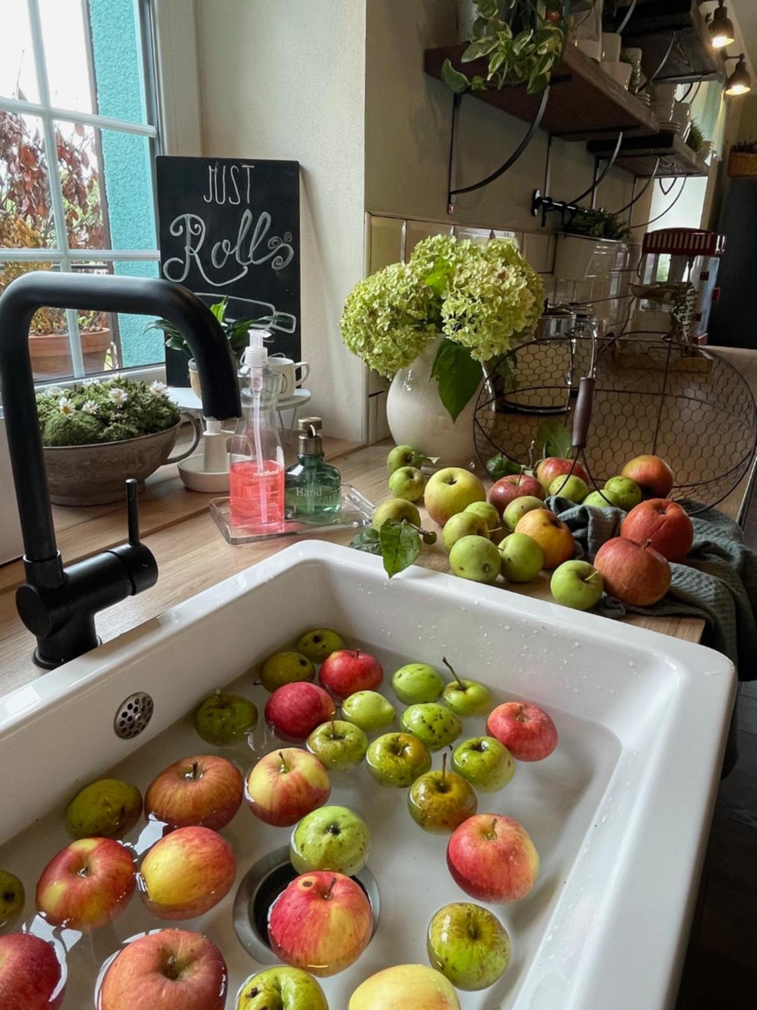 Orchardhouse Farmhouse, Wellness Chrast  Ngoại thất bức ảnh