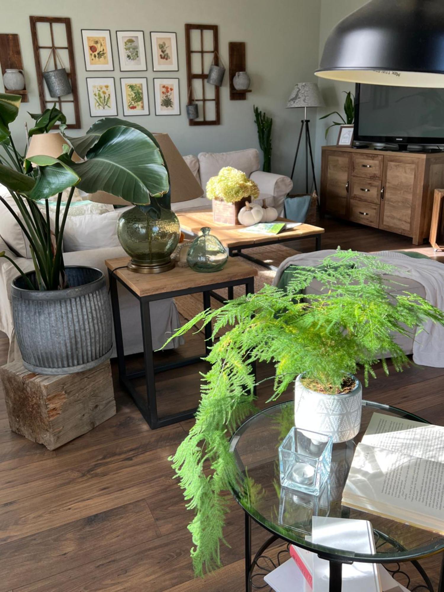 Orchardhouse Farmhouse, Wellness Chrast  Ngoại thất bức ảnh